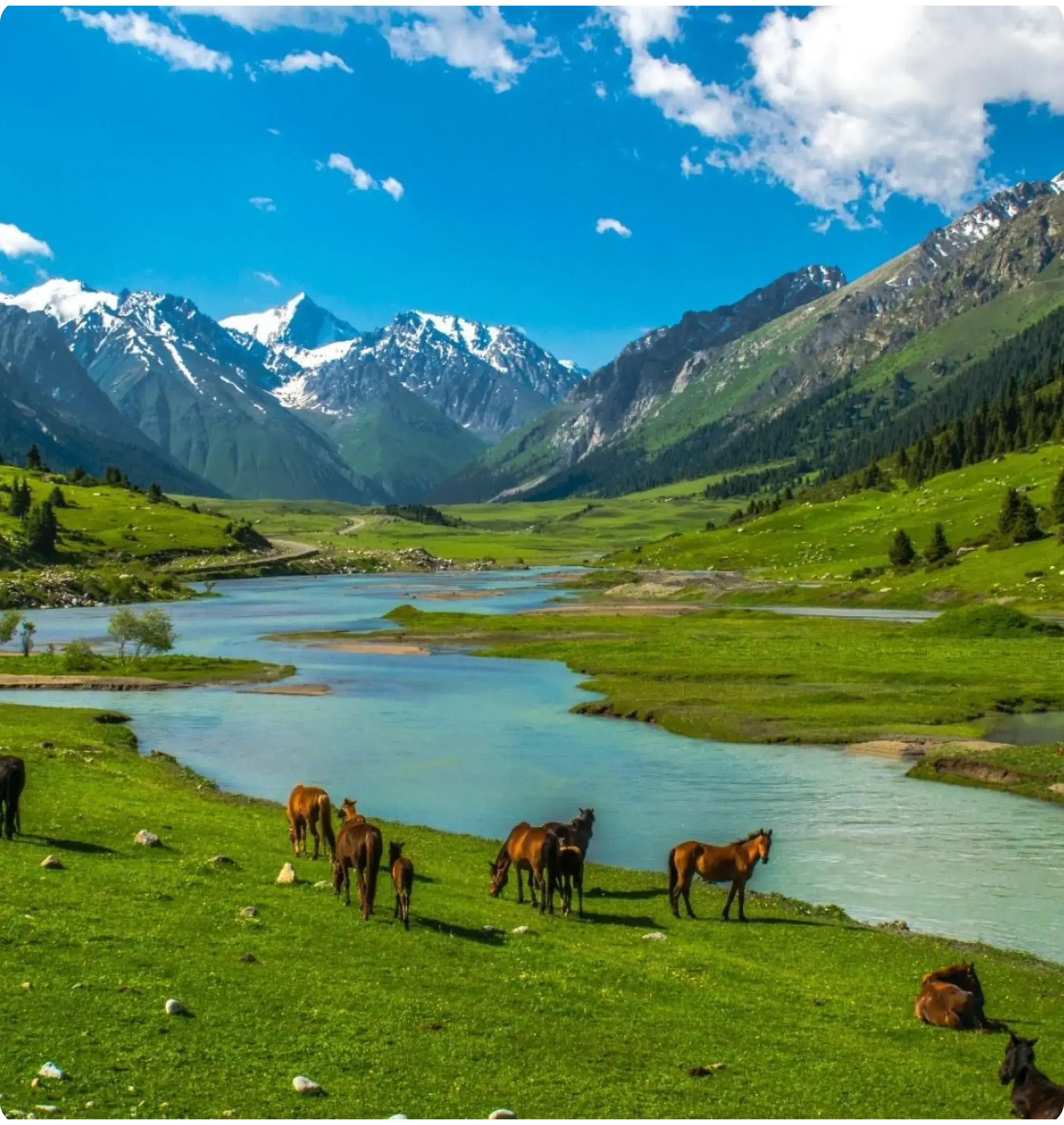 Climate of the Kyrgyz Republic Regional Ecological Summit RES 2026 – Participation & Program Climate of the Kyrgyz Republic Regional Ecological Summit RES 2026 – Participation & Program