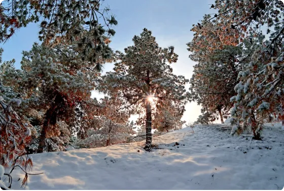 Natural-Geographical Profile and Climate Regional Ecological Summit RES 2026 – Participation & Program Natural-Geographical Profile and Climate Regional Ecological Summit RES 2026 – Participation & Program